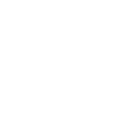 Usuario